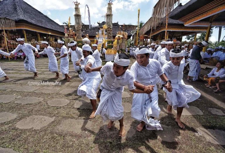 bali tour guide and driver